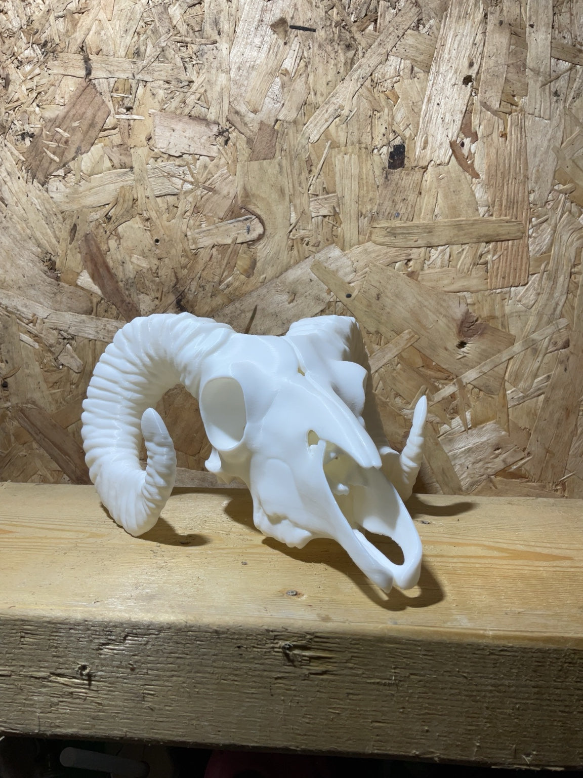Ram Skull – Gothic Décor | Horror Halloween Decoration